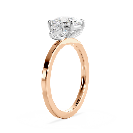 Base Ring - 040300001102040000000000