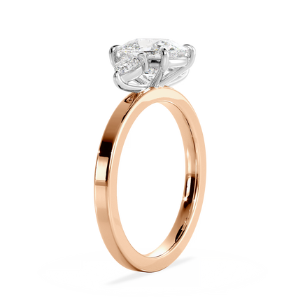 Base Ring - 040300001102060000000000
