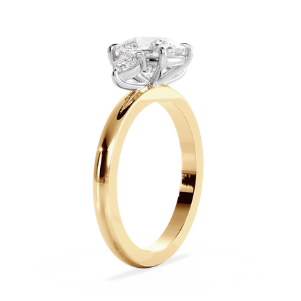 Base Ring - 040300001201030000000000