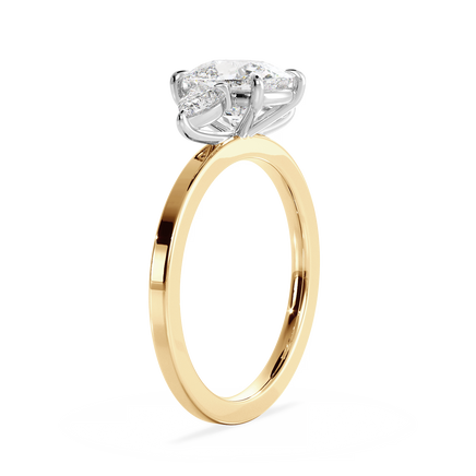 Base Ring - 040300001202040000000000