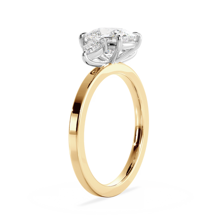 Base Ring - 040300001202050000000000