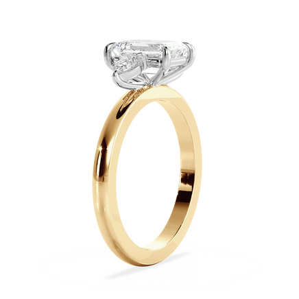 Base Ring - 040400001201030000000000