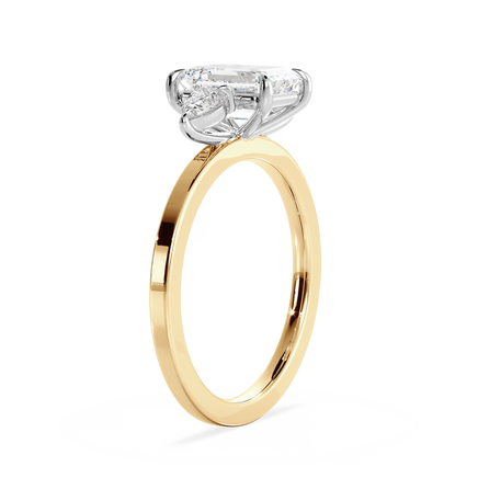 Base Ring - 040400001202040000000000