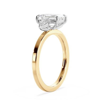 Base Ring - 040400001202050000000000