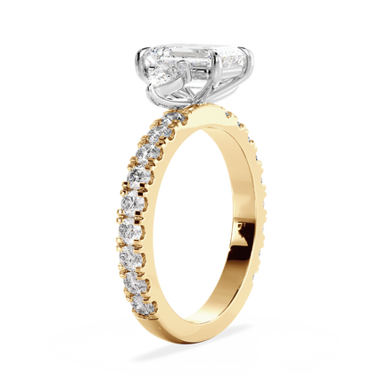 Base Ring - 040400001204080400000000