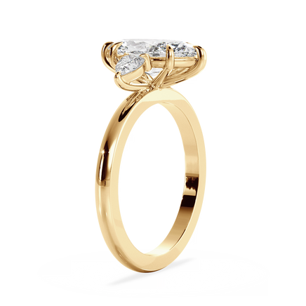 Base Ring - 040500000401020000000000
