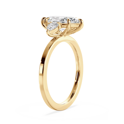 Base Ring - 040500000402040000000000