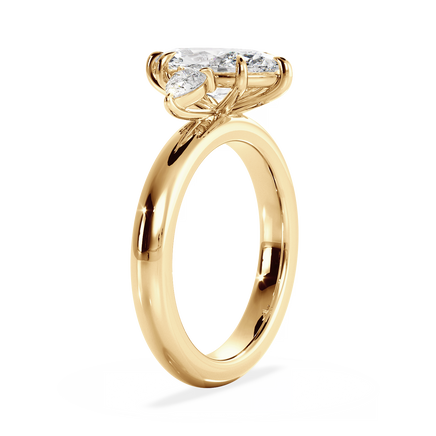 Base Ring - 040500000406100000000000