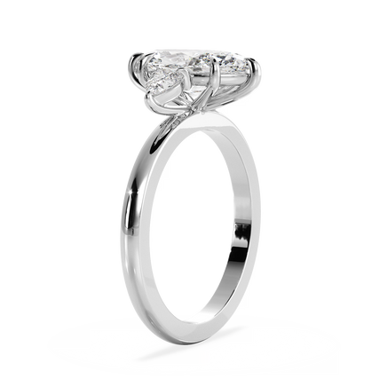 Base Ring - 040500000701020000000000