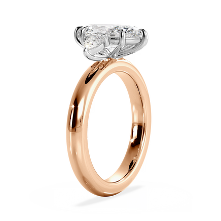 Base Ring - 040500001106100000000000