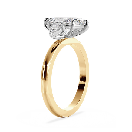 Base Ring - 040500001201030000000000