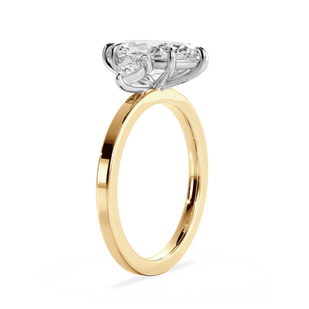 Base Ring - 040500001202050000000000