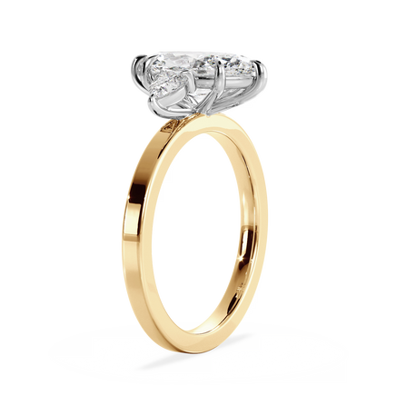 Base Ring - 040500001202060000000000