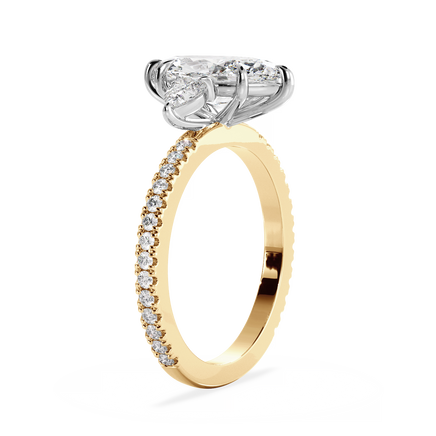 Base Ring - 040500001203070200000000