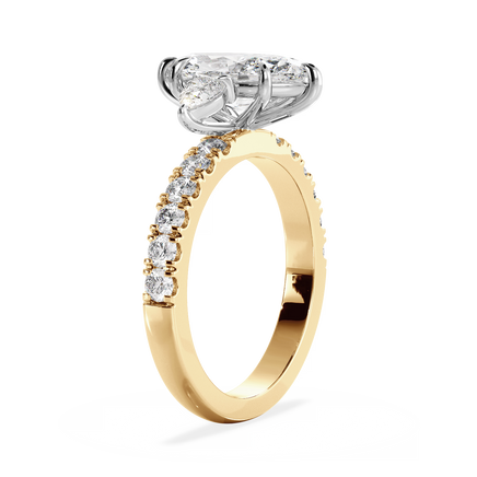 Base Ring - 040500001204080300000000