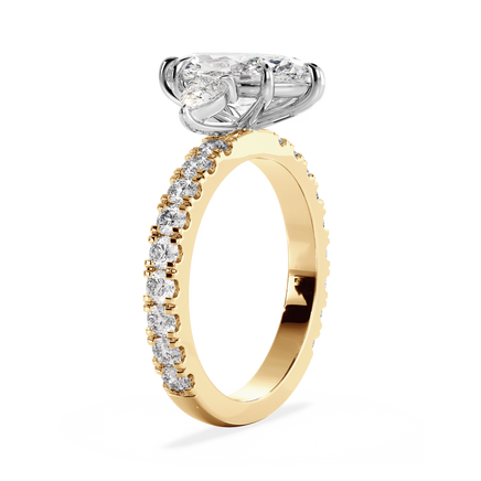 Base Ring - 040500001204080400000000