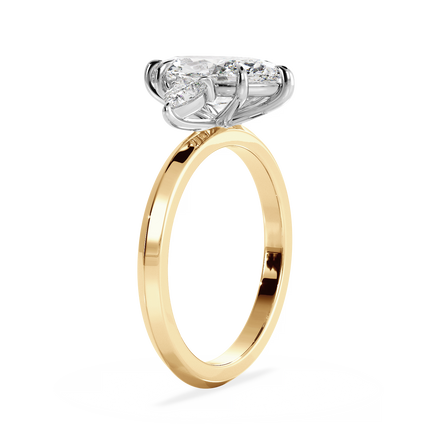 Base Ring - 040500001205090000000000