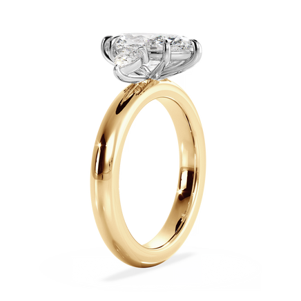 Base Ring - 040500001206100000000000