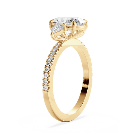 Base Ring - 040600000403070100000000