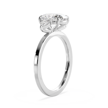 Base Ring - 040600000702040000000000