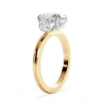 Base Ring - 040600001201020000000000