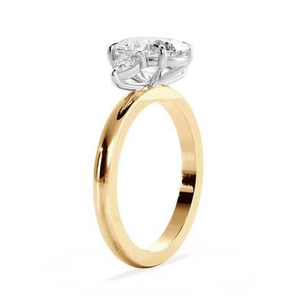 Base Ring - 040600001201030000000000