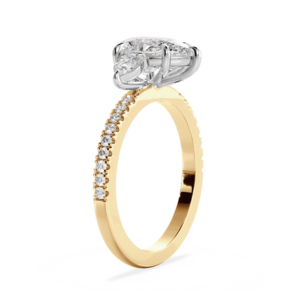 Base Ring - 040700001203070100000000