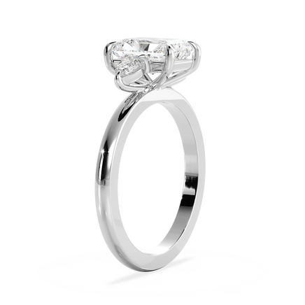 Base Ring - 040800000101020000000000