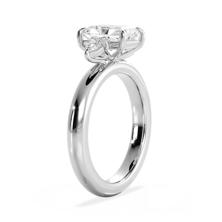 Base Ring - 040800000106100000000000