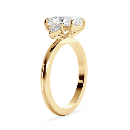 Base Ring - 040800000401020000000000