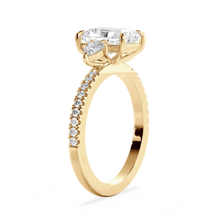Base Ring - 040800000403070100000000