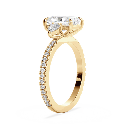 Base Ring - 040800000403070200000000