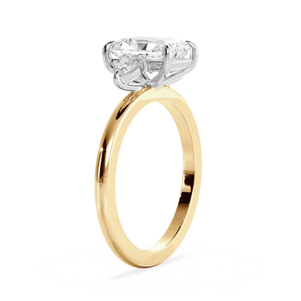 Base Ring - 040800001201010000000000