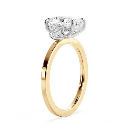 Base Ring - 040800001202040000000000
