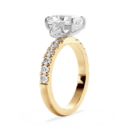 Base Ring - 040800001204080300000000