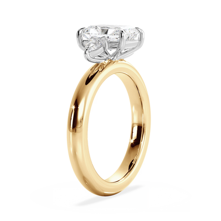 Base Ring - 040800001206100000000000