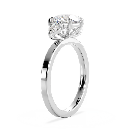 Base Ring - 040900000102060000000000