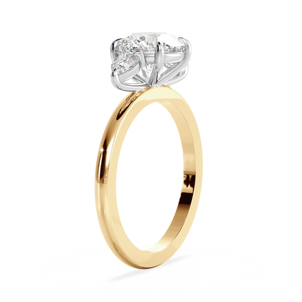 Base Ring - 040900001201010000000000