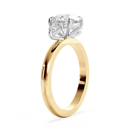 Base Ring - 040900001201030000000000