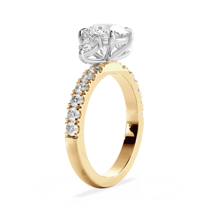 Base Ring - 040900001204080300000000