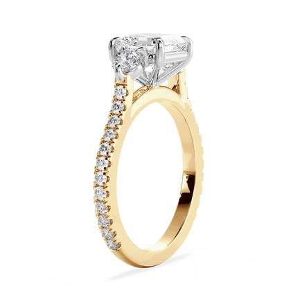 Base Ring - 060100001203070200000000