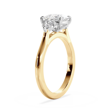 Base Ring - 060300001201030000000000