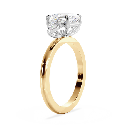 Base Ring - 080100001201020000000000