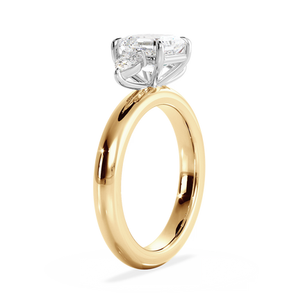 Base Ring - 080100001206100000000000