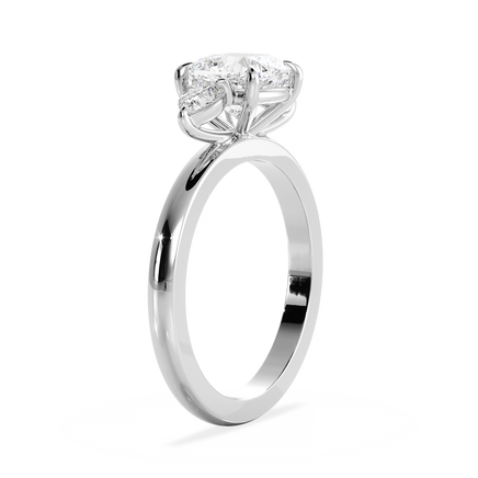 Base Ring - 080200000701030000000000