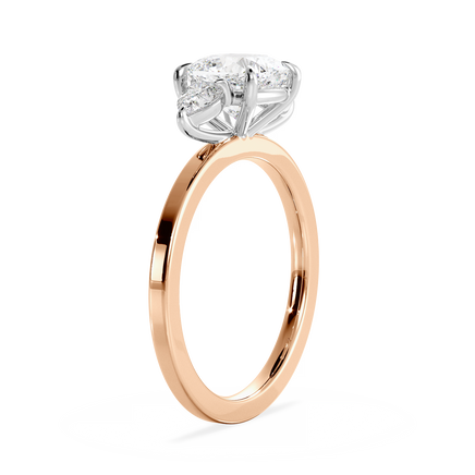 Base Ring - 080200001102040000000000