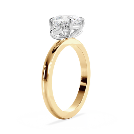 Base Ring - 080200001201030000000000