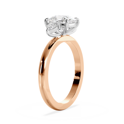 Base Ring - 080300001101030000000000