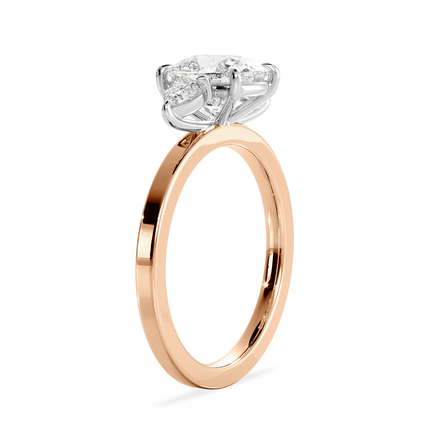Base Ring - 080300001102050000000000
