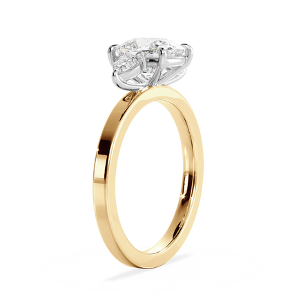 Base Ring - 080300001202060000000000